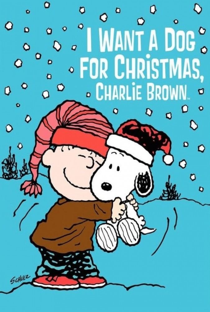 انیمیشن I Want a Dog for Christmas, Charlie Brown 2003 من یک سگ برای کریسمس می خوام چارلی براون [ دانلود و تماشای آنلاین ] رایگان